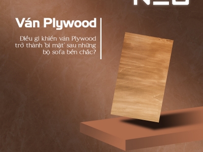 Điều gì khiến ván Plywood trở thành ‘bí mật’ sau những bộ sofa bền chắc?